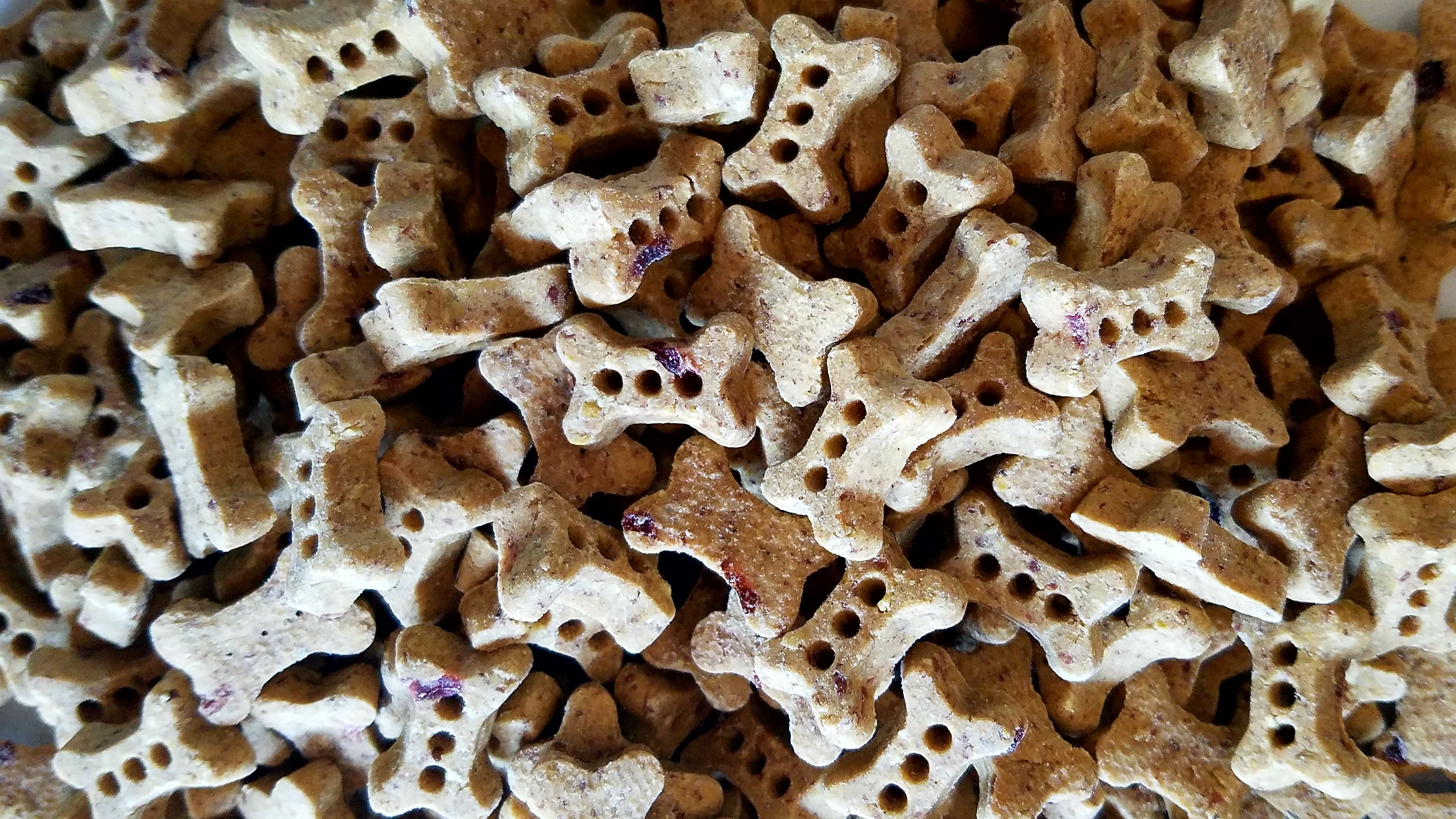 Bugs in best sale milk bone treats